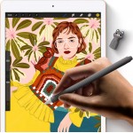 Чехол TPU Goojodoq Cartoon для стилуса Apple Pencil 2 Seagull Grey