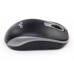 Мышь Wireless Frime FWMO-220BG Black/Grey USB