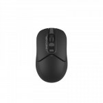 Мышь Wireless A4Tech FB12 Black USB