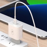 Сетевое зарядное устройство SkyDolphin SC38T 1Type-C 2.4A White (SDMZP-000181)