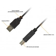 Кабель USB-Type-B Piko 2.0 AM-BM 1.8m Black (1283126474033)