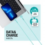 Кабель USB-Type-C ACCLAB AL-CBCOLOR-T1MT 1.2m 2.4A Mint (1283126518256)