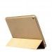 Чехол книжка TPU Smart ARS для Apple iPad mini 5 2019 Gold