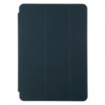Чехол книжка TPU Smart ARS для Apple iPad Air 10.9 2020 Cactus (ARS57680)