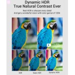 Кабель HDMI-HDMI v.2.1 Vention 8K 60Hz 4K 120Hz 48Gbps HDR 3D Vision gold-plated 1m Black (AALBF) Кабель HDMI-HDMI v.2.1 Vention 8K 60Hz 4K 120Hz 48Gbps HDR 3D Vision gold-plated 1m Black (AALBF)