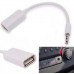 Перехідник Audio USB для iPod Shuffle Jack TRRS M -> USB AF, білий