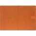 Обкладинка PocketBook 10.3 InkPAd One(PB1030) Magnetic folio cover оранжева (MF-1030-DOG-WW)