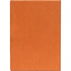 Обкладинка PocketBook 10.3 InkPAd One(PB1030) Magnetic folio cover оранжева (MF-1030-DOG-WW)