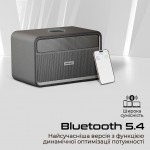 Акустична система HiFuture Passion X Black (passion-x.black)