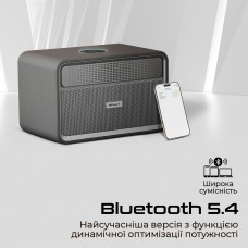 Акустична система HiFuture Passion X Black (passion-x.black)