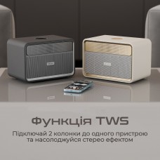 Акустична система HiFuture Passion X Black (passion-x.black)