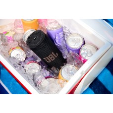 Акустична система JBL Grip Black (JBLGRIPBLK)