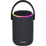 Акустична система 2E SoundXDrum TWS, MP3, Wireless, Waterproof Black (2E-BSSXDWBK)