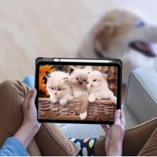 Чохол-книжка BeCover Soft Edge TPU з кріпленням Apple Pencil для Apple iPad Air 11" M4 2026 Gray (715258)