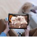 Чохол-книжка BeCover Soft Edge TPU з кріпленням Apple Pencil для Apple iPad Air 11" M4 2026 Gray (715258)
