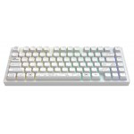 Клавіатура Dark Project ALU81 Terra Nova White (DPKB_NOVA_81_ANSI_WHITE_UA)