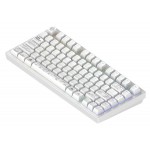 Клавіатура Dark Project ALU81 Terra Nova White (DPKB_NOVA_81_ANSI_WHITE_UA)