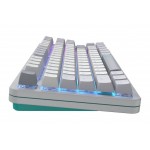 Клавіатура Dark Project ALU87 Daylight White/Grey (DPKB_DAYLIGHT_87_ANSI_UA)