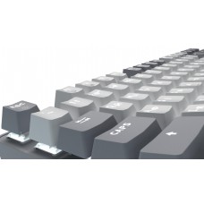Клавіатура GamePro Genesis Metallic MK110G Outemu Red Swithes USB Gray (MK110G)