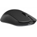Миша бездротова Dark Project Novus Wireless Black/Grey (DPP_Novus_BG)