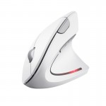 Мышь Wireless Trust Verto Ergonomic White (25132)