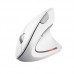 Мышь Wireless Trust Verto Ergonomic White (25132)