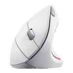 Мышь Wireless Trust Verto Ergonomic White (25132)