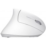 Мышь Wireless Trust Verto Ergonomic White (25132)