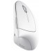 Мышь Wireless Trust Verto Ergonomic White (25132)
