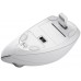 Мышь Wireless Trust Verto Ergonomic White (25132)