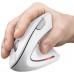 Мышь Wireless Trust Verto Ergonomic White (25132)