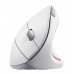 Мышь Wireless Trust Verto Ergonomic White (25132)