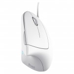 Мышь Trust Verto Ergonomic White (25133)