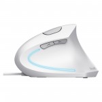 Мышь Trust Verto Ergonomic White (25133)