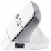 Мышь Wireless Trust Bayo II Ergonomic White (25398)
