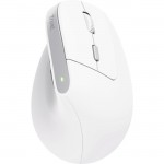 Мышь Wireless Trust Bayo II Ergonomic White (25398)