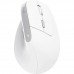 Мышь Wireless Trust Bayo II Ergonomic White (25398)