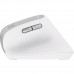 Мышь Wireless Trust Bayo II Ergonomic White (25398)