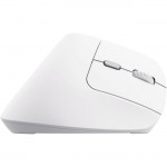 Мышь Wireless Trust Bayo II Ergonomic White (25398)