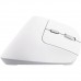 Мышь Wireless Trust Bayo II Ergonomic White (25398)