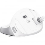 Мышь Wireless Trust Bayo II Ergonomic White (25398)