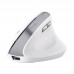 Мышь Wireless Trust Bayo II Ergonomic White (25398)