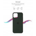 Чехол накладка TPU Armorstandart Solid Series для Apple iPhone 12 Mini Cyprus Green (ARM57521) Чехол накладка TPU Armorstandart Solid Series для Apple iPhone 12 Mini Cyprus Green (ARM57521)