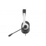 Наушники гарнитура накладные проводные A4Tech FH100U Panda Black/White
