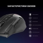Мышь GamePro GM300B Black