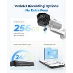 IP-камера Reolink Duo Series P750 (Duo 3 PoE)